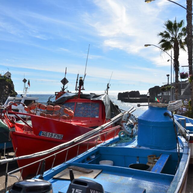 A small fishing harbor with colorful boats docked by the shore.