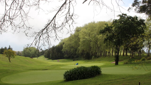 A lush green park with tall trees and a peaceful atmosphere.