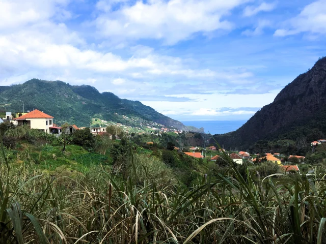 Lush vegetation, levada path and sea view from a quiet hiking route in Madeira.