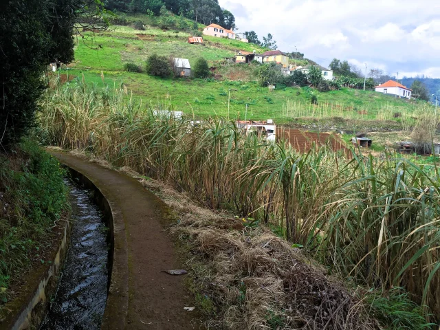 Narrow levada trail through sugarcane fields with panoramic countryside scenery in Madeira.