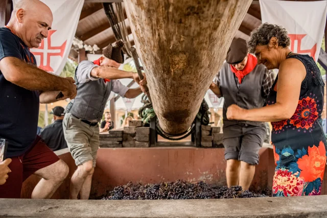 Visitors enjoying traditional grape stomping at the Madeira Wine Festival, part of the authentic harvest experience in Madeira festivals.