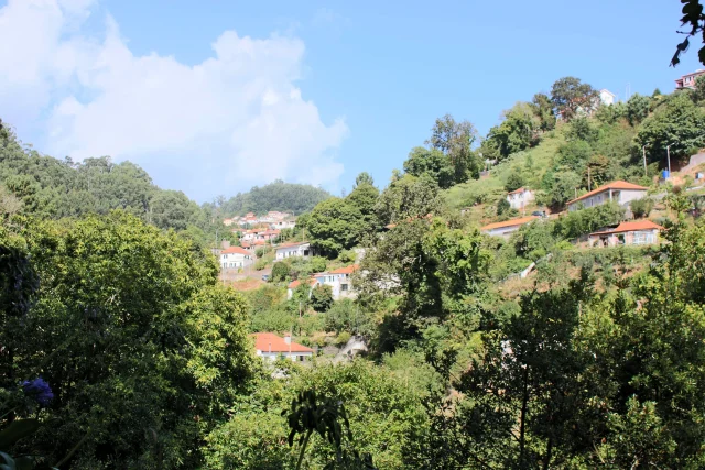 Panoramic view of Vale Paraíso, Camacha during the Madeira Paradise Valley Walk.