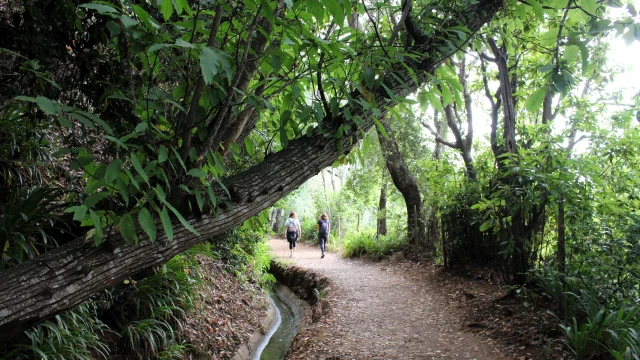 Rustic countryside shed along the Paradise Valley Levada Walk, Vale Paraíso Camacha, Madeira.